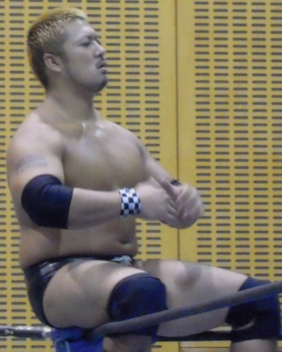 Yuji Hino Net Worth 2018: What is this wrestler worth?