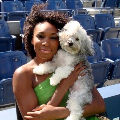 Venus Williams Net Worth 2018