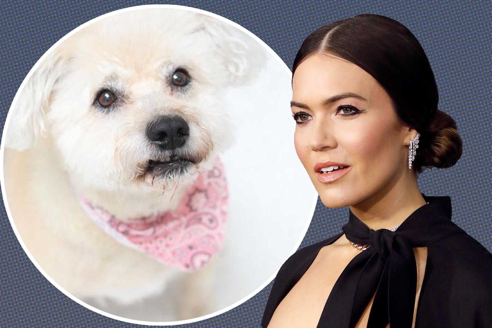 Pregnant Mandy Moore Mourns Over Tragic Loss of Her Dog Joni