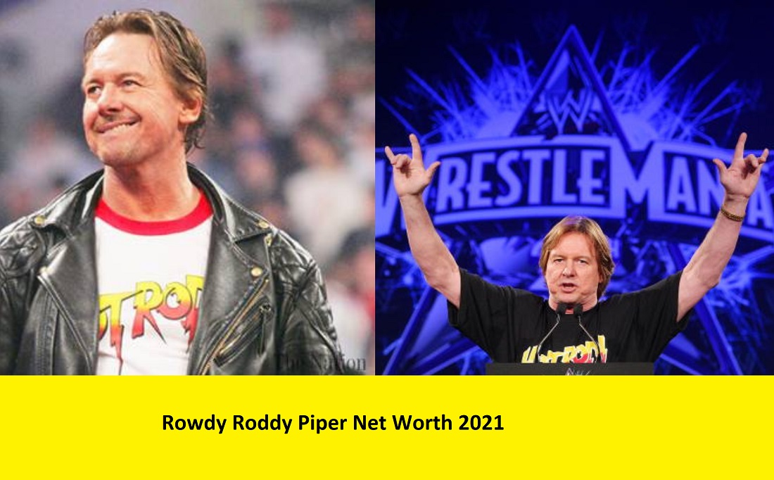 rowdy roddy piper net worth