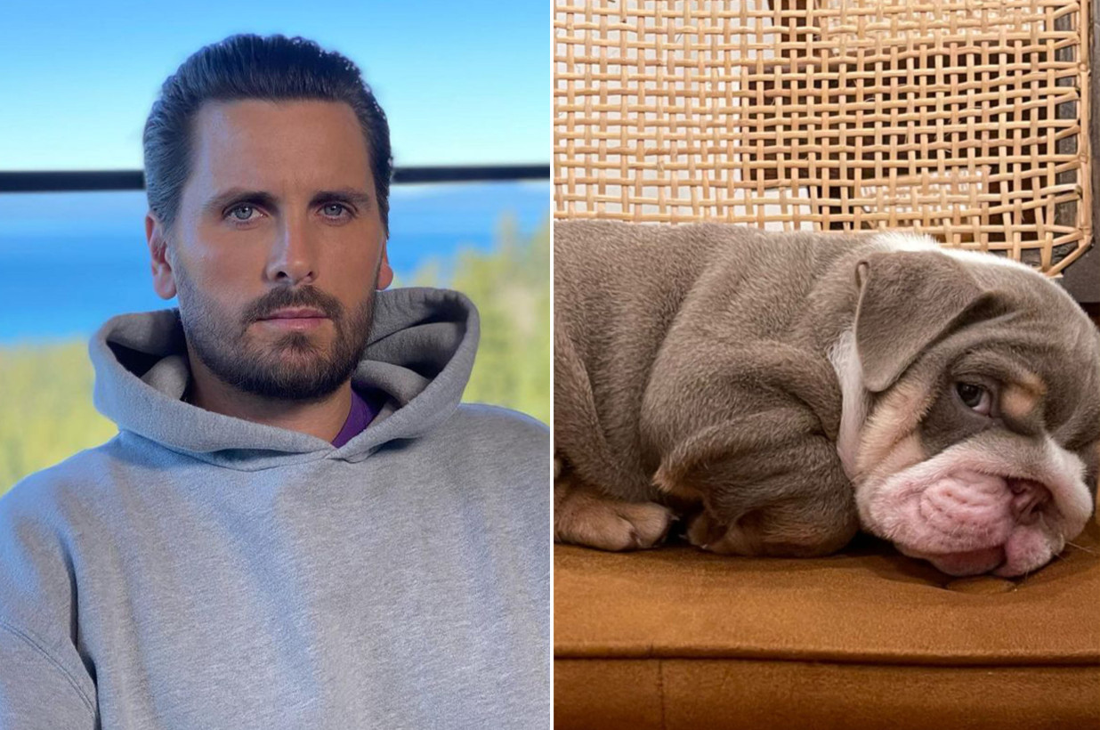 Scott Disick Welcomes an Adorable New Member to the Family